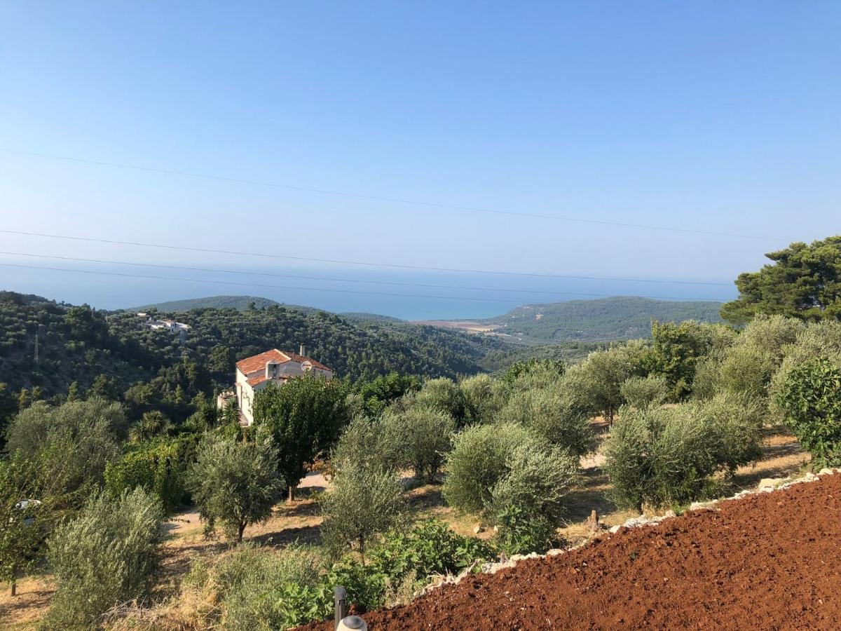 Verde Matematico Vico Del Gargano Dış mekan fotoğraf