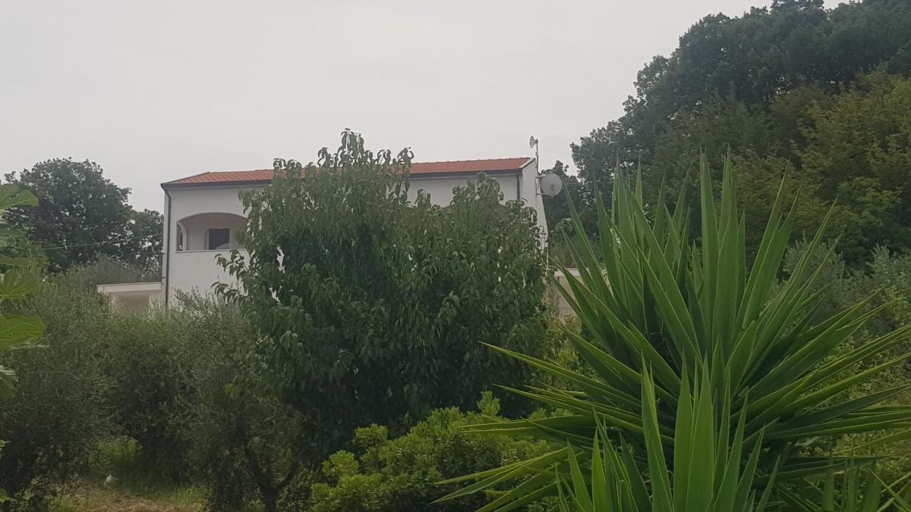 Verde Matematico Vico Del Gargano Dış mekan fotoğraf